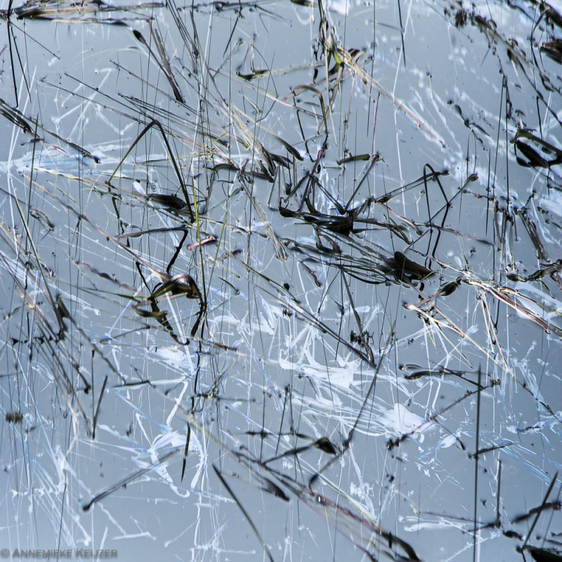 Leersumse Plassen (1)  (abstract, double exposure)