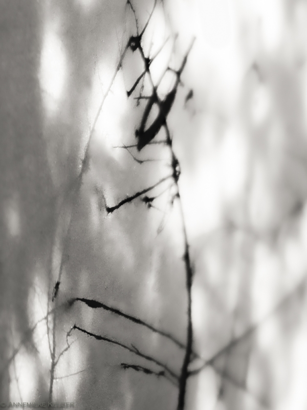 Shadows on the wall...
