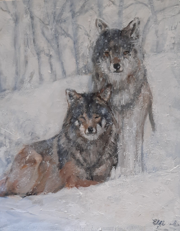 Wolven in de sneeuw