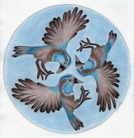 3:2019 08 Bluebirdcirkel